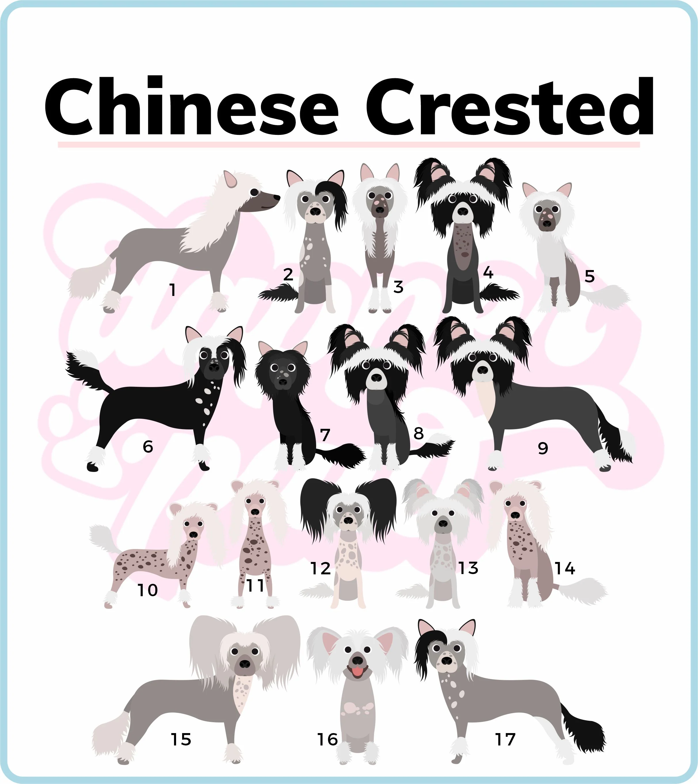 Chinese Crested Dog Mug view 2