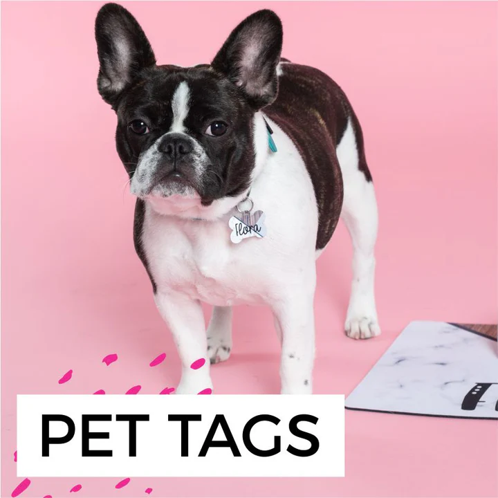 Pet Tags